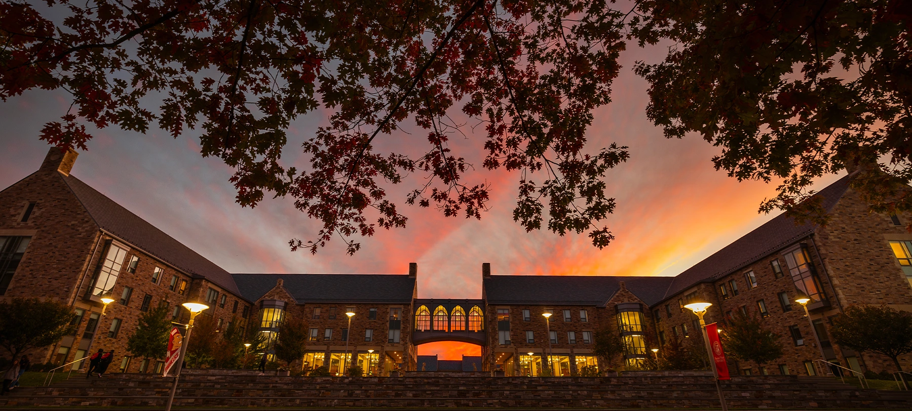 Campus buildings and courtyard at sunset framed by tree branches